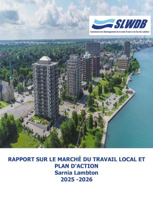 Rapport Sur Le Marche Du Travail Local et Plan D'Action 2025/2026 PDF