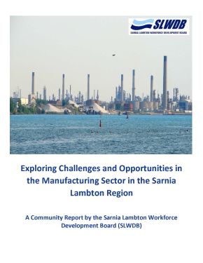 Exploring the Challenges and Opportunities in the Manufacturing Sector PDF